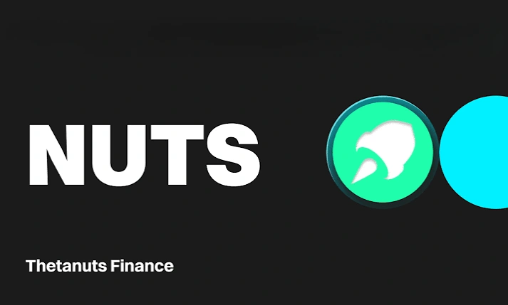 Thetanuts Finance, NUTS, Decentralized Options Protocol