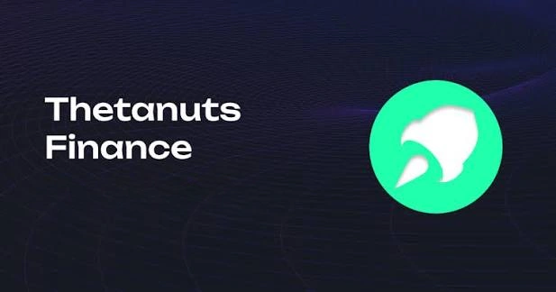 Thetanuts Finance, NUTS, Decentralized Options Protocol