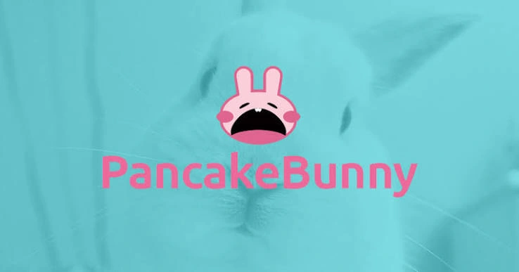 How to Use Pancake Bunny, Pancake Bunny