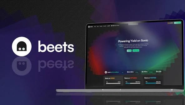 What Is BEETS Crypto?
