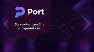 What Is Port Finance?
