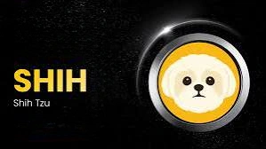 Where to Buy Shih Tzu Crypto, Where to Buy Shih Tzu, Shih Tzu Crypto