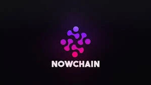 NOW Chain NOW: Mobile-Powered Blockchain Network